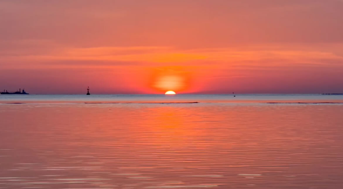 テストニュース